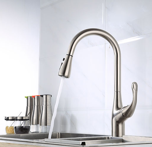 Pull-out/Pull-down Kitchen Faucet