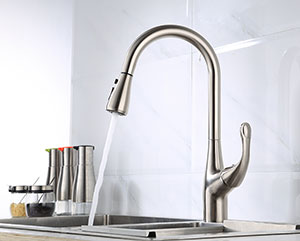 Pull-out/Pull-down Kitchen Faucet