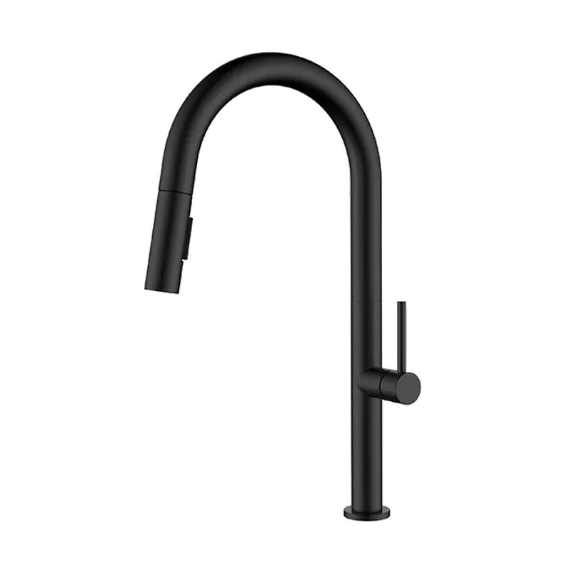 Black Pull Down Kitchen Faucet