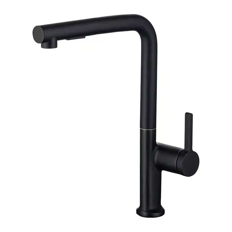 Matte Black Stainless Steel Kitchen Mixer With Pull Out Spray