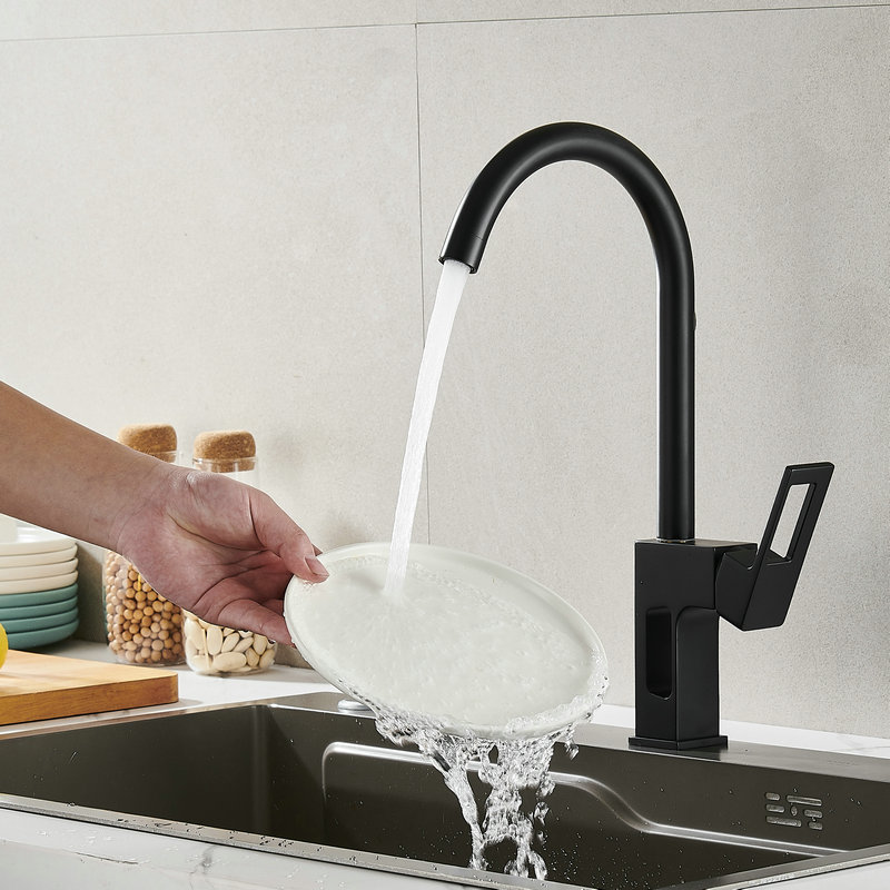 Black matte standard kitchen faucet