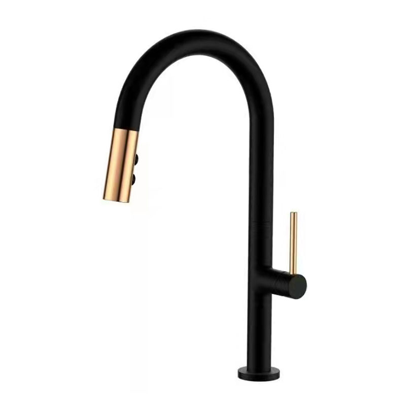 Matt Black Kitchen Faucet With Pull Out Spray